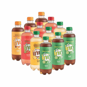 Paca Tea Inn Surtido x 12 Unds - 400 ml